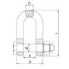 Duke Bolt Type Chain 'D' Shackle