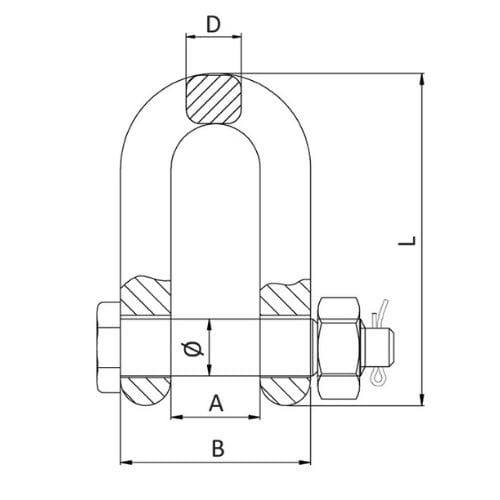 Duke Bolt Type Chain 'D' Shackle