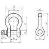 Xona Screw Pin Bow Shackle
