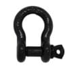 Black Screw Pin Bow Shackle