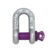 Xona Screw Pin Dee Shackle