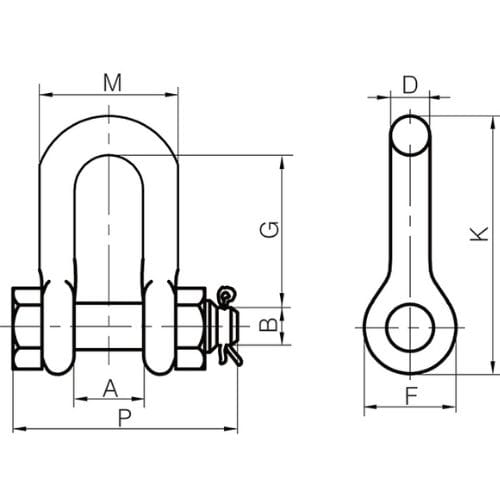 Safety Dee Shackle Dims Xona Safety Pin Dee Shackle