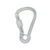 9kN Zinc Plated Asymmetric Screwgate Hook