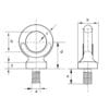 Dynamo Eyebolts